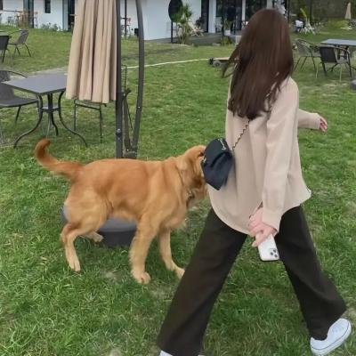 黑色博物馆